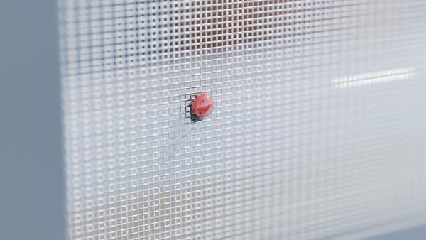 Drahtnetz V2A Edelstahl B: 1.2mm D: 0.6mm M: 14 – 3D-Visualisierung